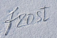 新落下的雪覆盖的表面上刻有“霜”字样。