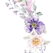 鲜花png