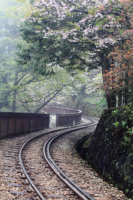 [阿里山国家风景区的铁路] 阿里山国家风...