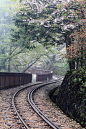 [阿里山国家风景区的铁路] 阿里山国家风景区的铁路,台湾