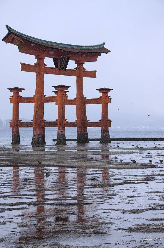日本丨鸟居