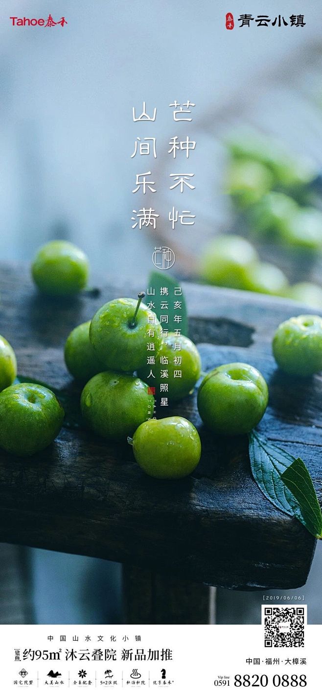 芒种