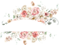 水彩清新花卉植物LOGO图标婚礼海报装饰透明免抠PNG图案装饰素材 (2)