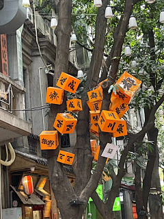 Artsense采集到素材