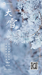 大雪节气祝福手机海报