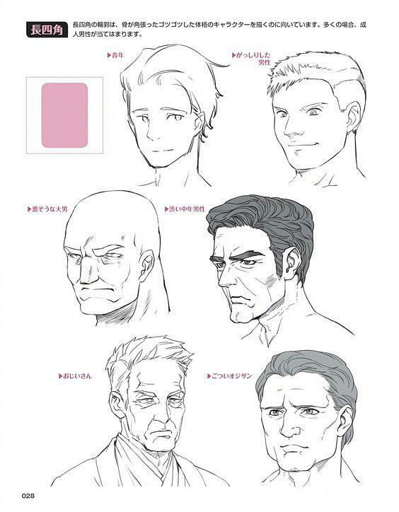 组脸的画法 比例/脸型