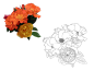 花束