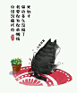 【图文】150619【为何不跪!】萌哭的猫咪(๑ºั_狐狸吧_百度贴吧