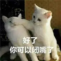 微信 QQ 搞笑 表情包 哈哈 (3780)