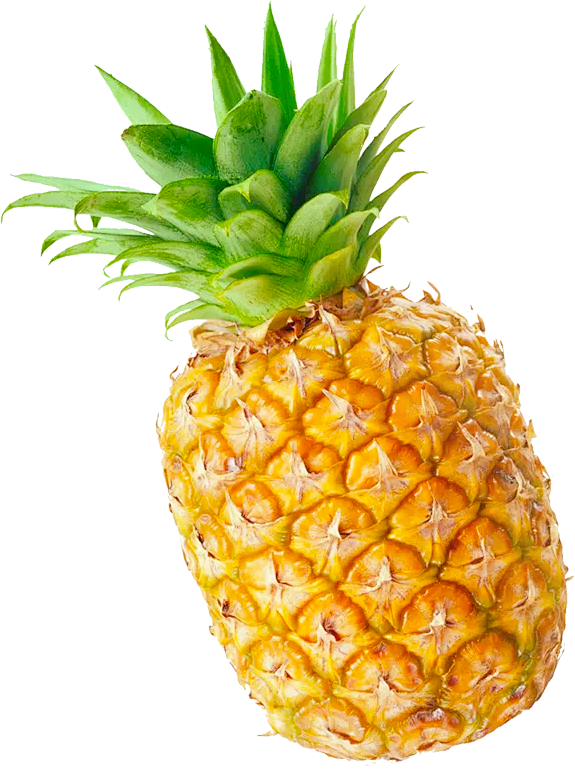 菠萝