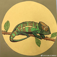 OK大耳朵涂涂采集到彩铅画