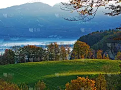 瑞士圣加伦州的奥伯里耶州，位于阿尔卑斯山脉和莱茵河流域(莱茵河流域)的混合森林和树木