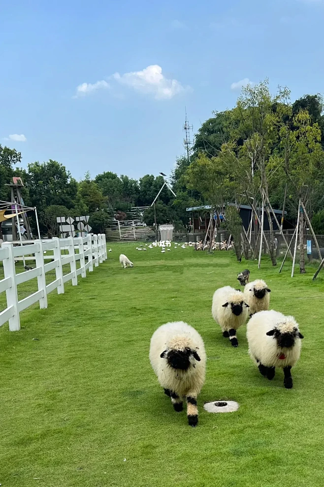 Go Farm农场｜千万别带孩子来这里-花瓣网