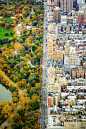 4、城市类二等奖：《分离》

摄影师：美国，Kathleen Dolmatch

“2014年11月5日，在我27岁生日的前一天，作为生日礼物，我有了一次乘坐直升飞机的机会，从直升机上俯瞰中央公园西侧，这里被分裂成建筑区和中央公园区的图样。”