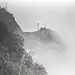 翌禾君