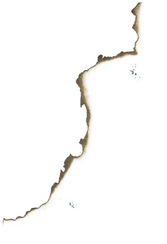 stonelu采集到素材