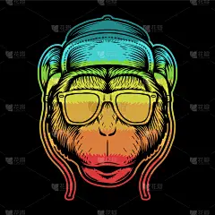 猴子,多色的,动物头,可爱的,华丽的,野生动物,肖像,灵长目,猿