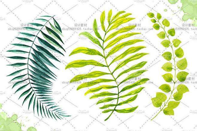 水彩手绘夏日热带植物叶子PNG免抠图设计...