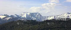 山的风景。白雪皑皑的山脉和绿油油的山脊上有森林。