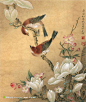 改编郎世宁之玉兰山雀