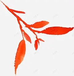 水彩芙蓉花卉艺术手绘彩绘水彩插画
