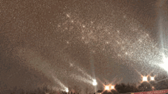 日常迷信#gif - 堆糖，美图壁纸兴趣社区