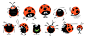 Ladybug concept art