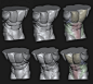 Torso Anatomy Studies [Zbrush]