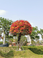 IMG_20230307_145411