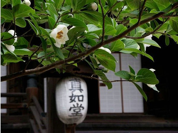 京都的真如堂