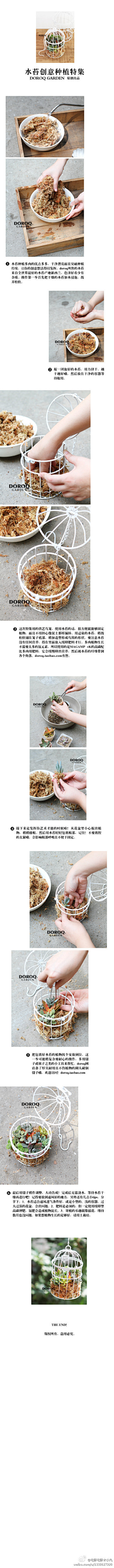 筱筱猪采集到肉