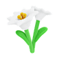 毛茸花卉3D