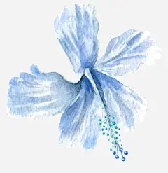 淡蓝色百合花高清素材 卡通花 唯美 唯美花簇 手绘 手绘花 手绘花饰素材 春天 水彩 清新 百合花 免抠png 设计图片 免费下载