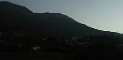 马奶茶