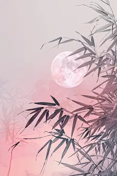 纹路优美美观平滑极简背景图片插画图