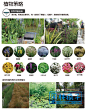 WB153海绵城市设计老社区景观改造小区景观设计雨水花园指引手册-淘宝网