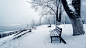 冬天，雪，板凳，树林，风景桌面壁纸