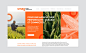 Smag - Brand design : Graphéine gives a new lease of life to the brand image of SMAG, a company specialised in the digital transformation of the entire agricultural profession. A new logo and graphic identity that install a strong visual consistency throu