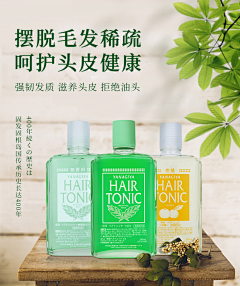 哼着歌的海鸥采集到主图