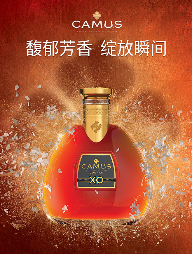 CAMUS卡慕XO干邑白兰地 礼盒装70...