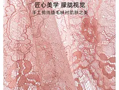 好奇蜜斯大胸显小胸内衣女性感夏薄防下垂法式纯欲蕾丝文胸罩套装-tmall.com天猫