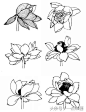 国画素材丨线描荷花画法_【快资讯】