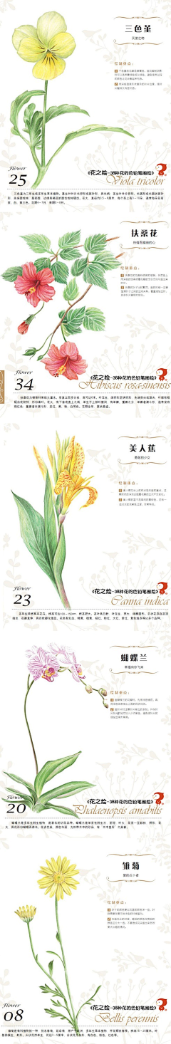 【ME】采集到插画板