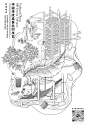 中国传统桑蚕丝织技艺丝绸插画