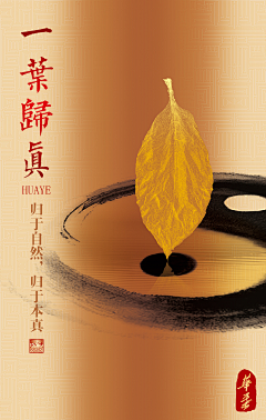 MissGuoMiss采集到香烟