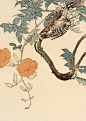 《景年花鸟画谱》，是由西泠印社出版社于1892年出版，用木版套色套印，是以一年四季花鸟为主题的写生作品，作者（日）今尾景年。描绘题材异常丰富，其造型准确性远远超出穴芥子园画谱，其生动性更胜过黄筌穴写生珍禽图，曾是二十世纪初一些画家的写生花鸟宝典，深刻地影响过中国二十世纪许多花鸟画大家