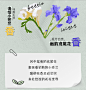 BOTANIST蓓甜诗植物学家氨基酸洗发水护发素控油蓬松洗发露女-tmall.com天猫