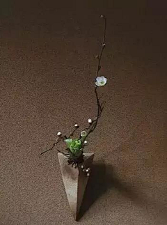 装进布包的梦采集到13 插花