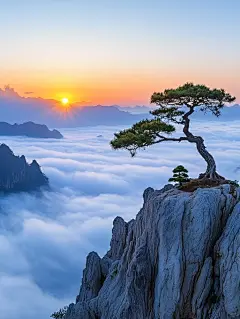 治愈系壁纸|云海迎客松|清新自然壁纸 - 小红书