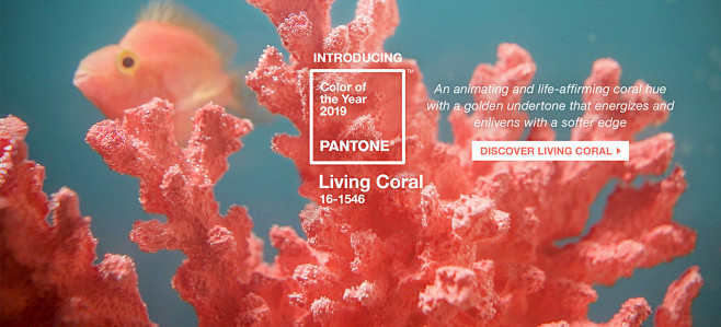 Pantone Color of the...
